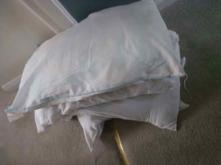 Photo of free 4 old pillows. Suitable for pet bed (Chalker's Corner TW9) #1