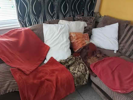 Photo of free Various sizes cushions and covers (Radcliffe M26) #1