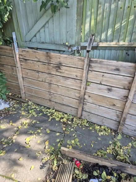 Photo of free Decking boards (Woking) #2
