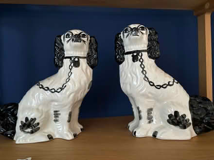 Photo of free 2 wally dugs (Currie EH14) #1