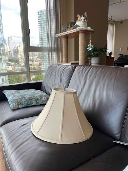 Photo of free Lampshade (Vancouver, Yaletown) #1
