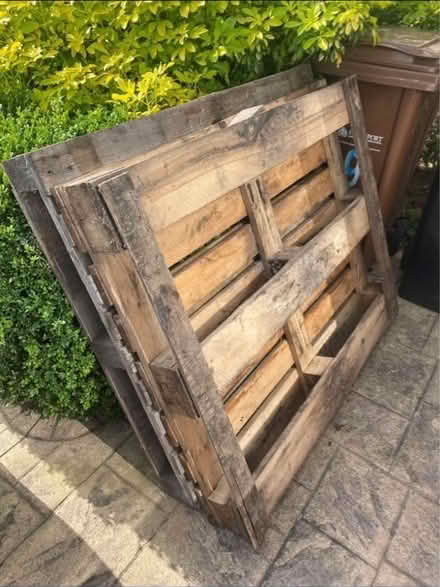 Photo of free Wooden pallets (Cheadle Hulme) #1