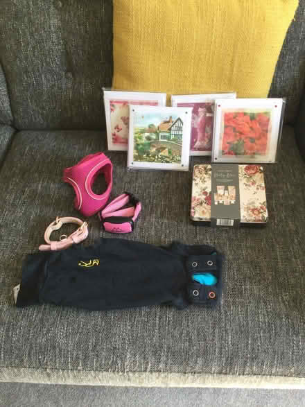 Photo of free Assortment (Chelmsford CM1) #2