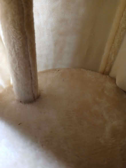 Photo of free Cat tree (Walkley S6) #2