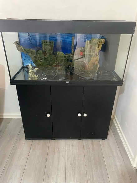 Photo of free Fish tank (Droiwich WR9) #1