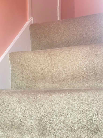 Photo of free Wool beige stair carpet (Bailiff Bridge BD12) #3