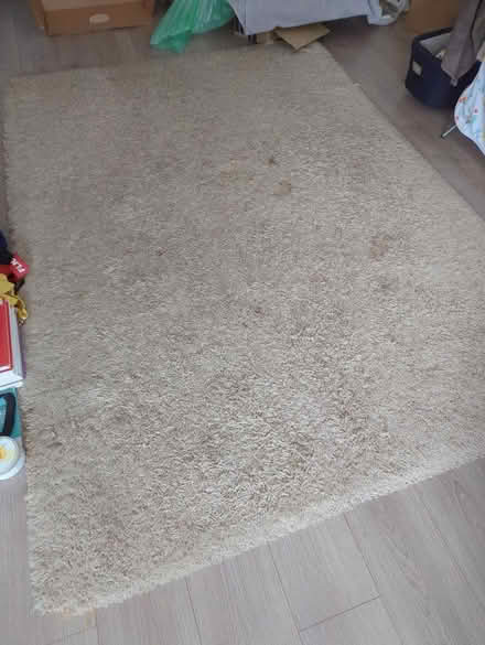 Photo of free Carpet (KT7) #2