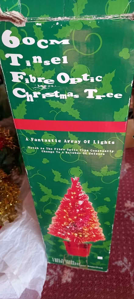 Photo of free Christmas decorations (Edmonton N13) #2