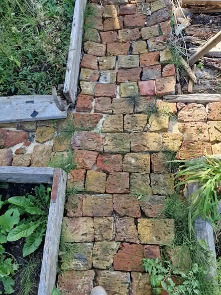 Photo of free bricks (N17 the roundway) #1