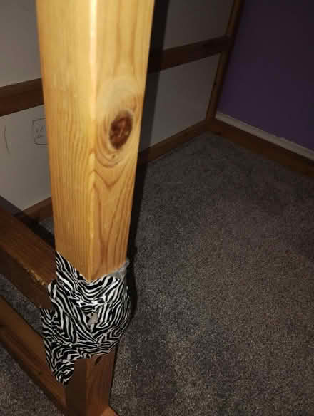 Photo of free Cabin bunk bed (BS5) #3