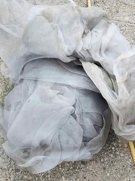 Photo of free A bin bag of mesh netting for gardening. (Headington OX3) #1