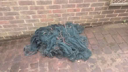 Photo of free Garden netting (Selsdon) #1