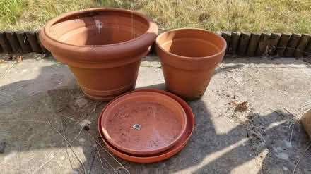 Photo of free Plant pots and saucers (Laindon SS15) #2