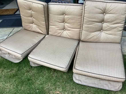 Photo of free Cushions (Nest Farm area NN8) #1
