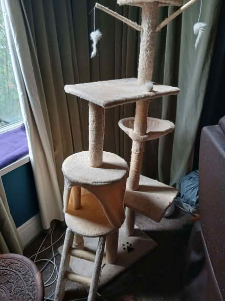Photo of free Cat tree (Walkley S6) #4
