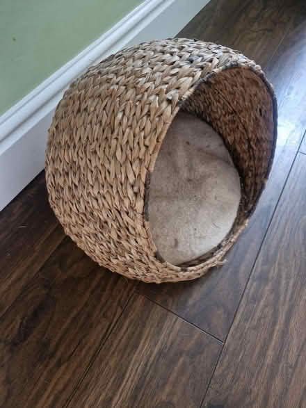 Photo of free Cat basket (PR25 Leyland) #2