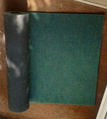 Photo of free Carpet hall runner (St. Hilary TR20) #2