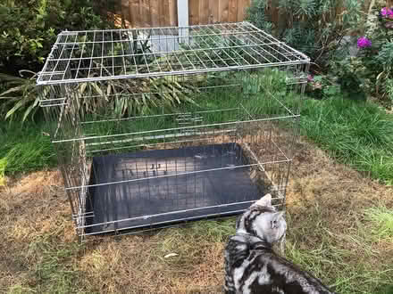Photo of free Dog crate (Colchester CO28TQ) #1