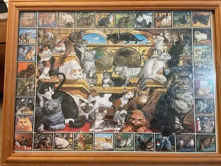 Photo of free World of Cats Framed Puzzle (Bassingham LN5) #1
