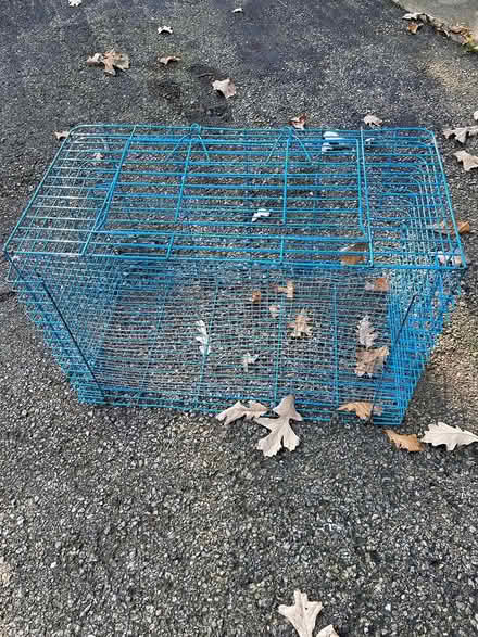 Photo of free Animal crate (Oak Brook) #1