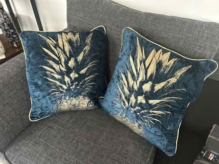 Photo of free Pineapple print cushions (Far Cotton, Northampton) #1