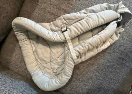 Photo of free Ergo infant insert (Petworth) #1