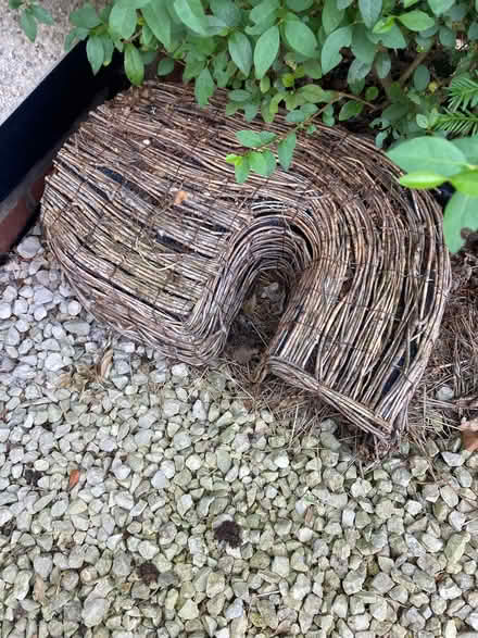 Photo of free Hedgehog houses (Wellington TF1) #1