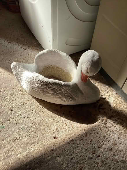 Photo of free Swan garden planter (Willingdon BN22) #1