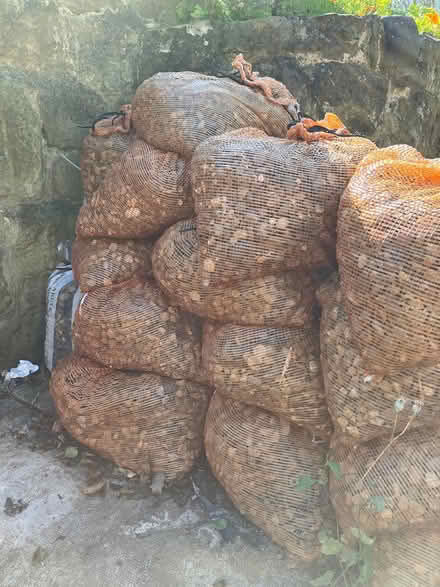 Photo of free 23 bags of gravel (Thorngrafton NE47 7AD) #1