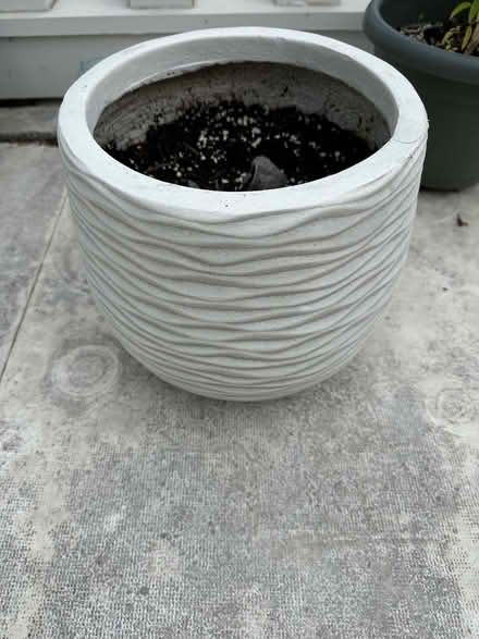 Photo of free Flower pots (National Park Seminary) #1