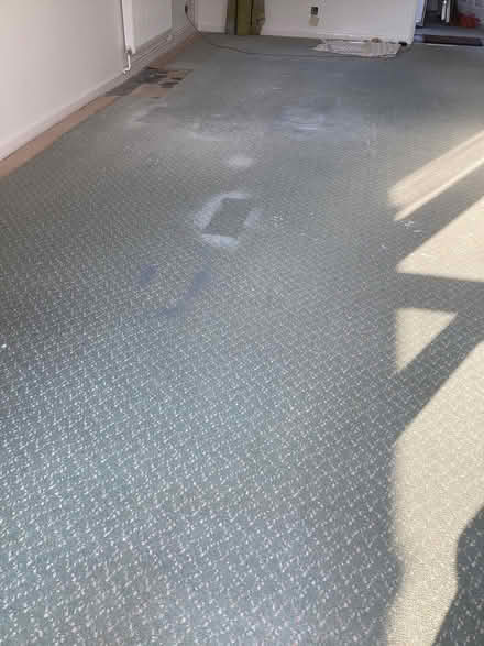 Photo of free Old Carpet about 6m x 3m (Clophill MK45) #3