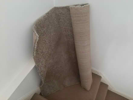 Photo of free IKEA rug (OX3 sandhills) #1