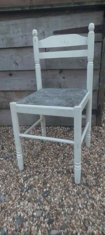 Photo of free Dining chairs (Exhall) #1