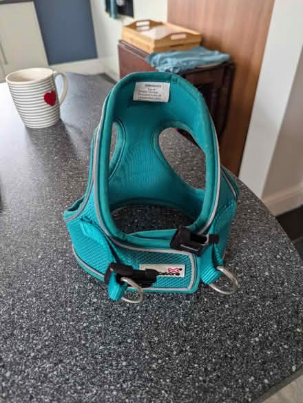 Photo of free Medium dog harness (Leicester LE3) #2