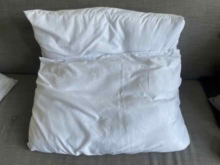 Photo of free 2no. Pillows (Stoke Newington N16) #1