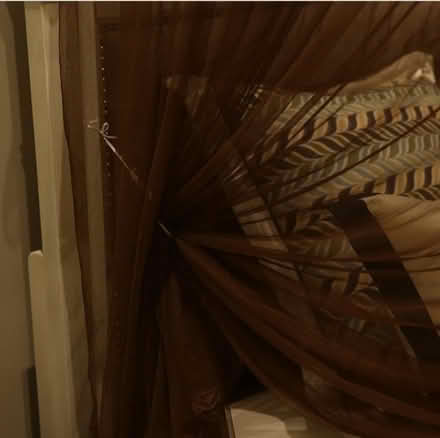 Photo of free Cozy Bed Canopy/Mosquito Netting (Petworth) #2