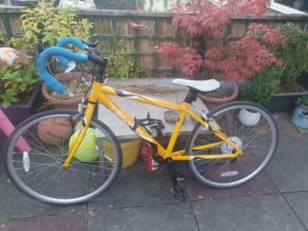 Photo of free Apollo racing bike (Appleby-in-Westmorland CA16) #1