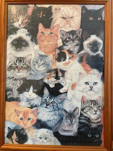 Photo of free Framed Cat Puzzle (Bassingham LN5) #1