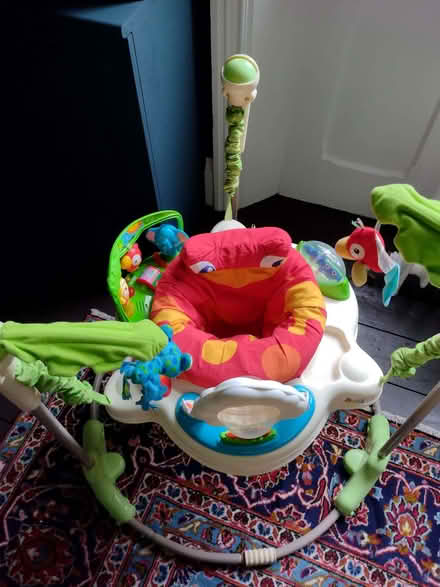 Photo of free Baby Activity Bouncer (Malvern WR14) #2