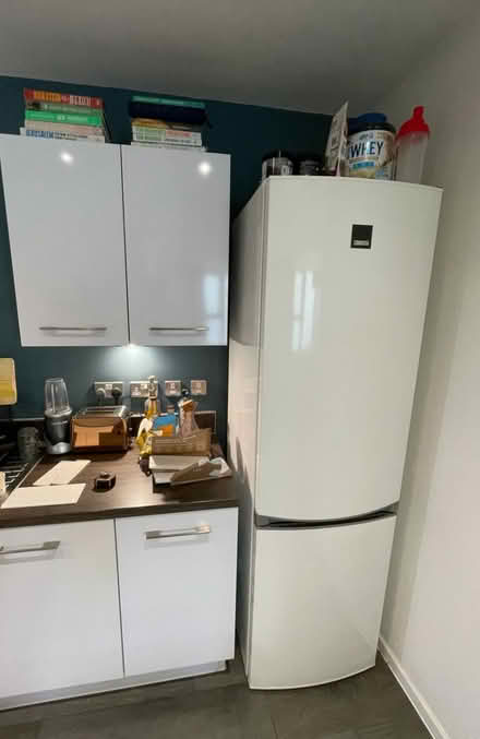 Photo of free Free standing fridge Zanussi (Sw181FX) #1