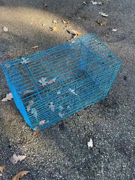 Photo of free Animal crate (Oak Brook) #2