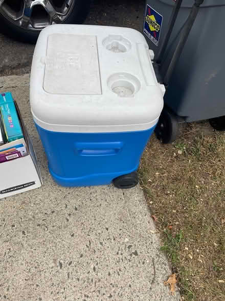 Photo of free Igloo Cooler (Mt Vernon, NY) #1