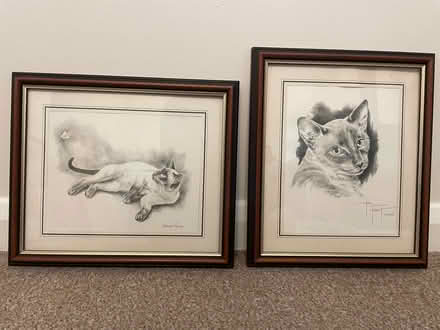 Photo of free Two Hand Drawn Siamese Cat Pictures (Bassingham LN5) #1