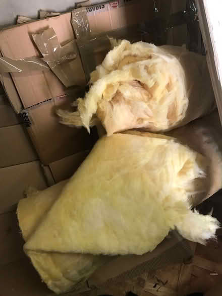 Photo of free Insulation (Whalley Range M16) #1