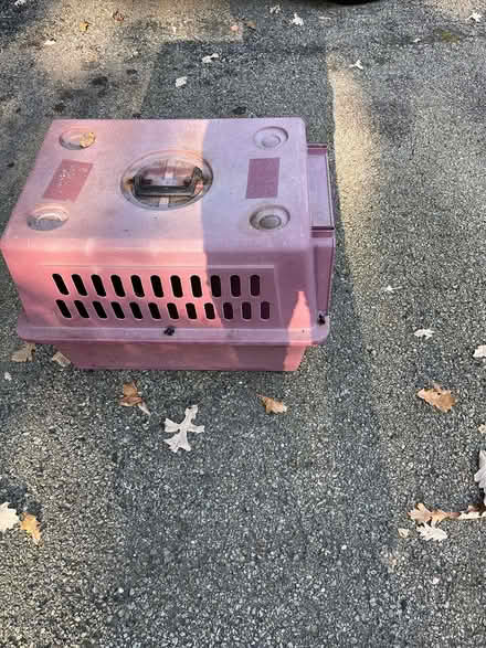 Photo of free Animal carrier (Oak Brook) #2