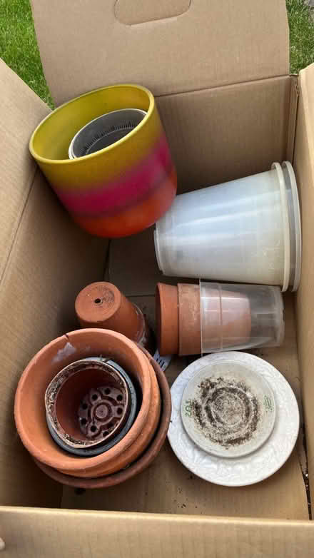Photo of free Assorted pots (terracotta, orchid) (HA1) #1