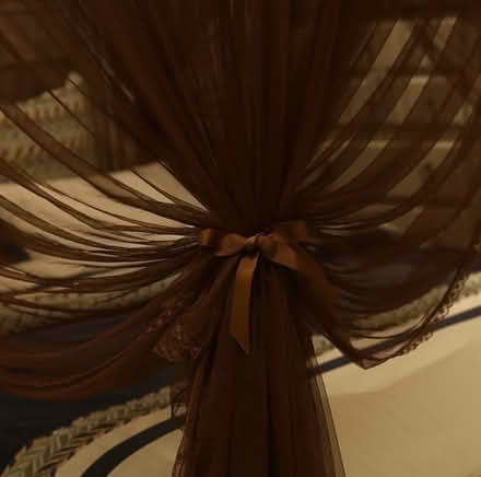 Photo of free Cozy Bed Canopy/Mosquito Netting (Petworth) #3