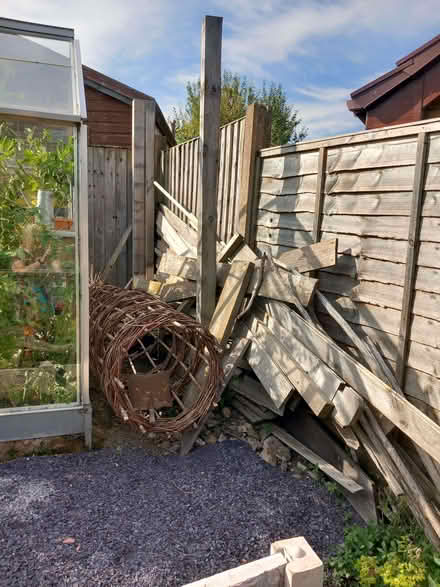 Photo of free Quantity of timber (Mold CH7) #1