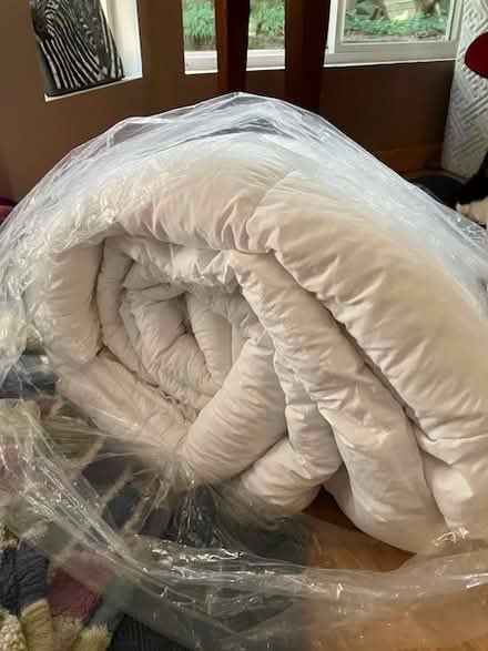 Photo of free Comforter (Lake Forest Park) #1