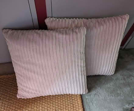 Photo of free Large Cushions x 2 (Roehampton SW15) #1